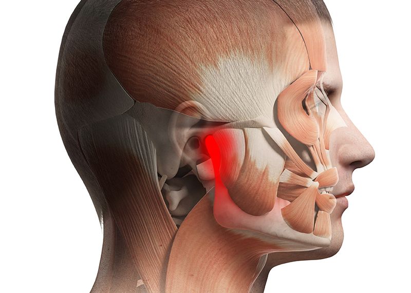 temporomandibular joint highlighted